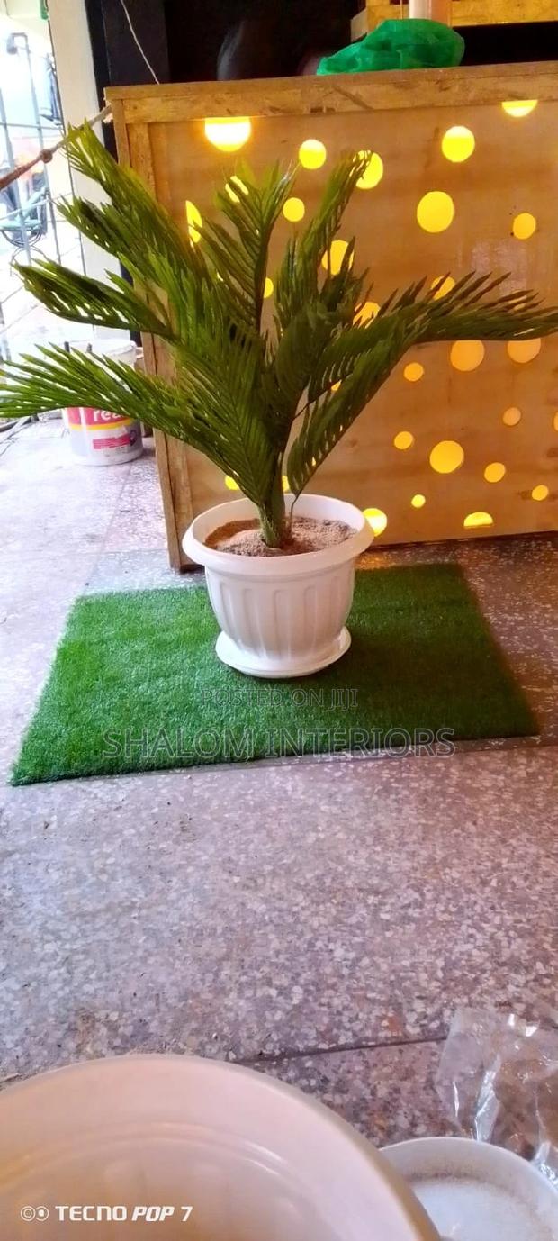 Artificial Grass Artificial Grass Artificial Grass - main view