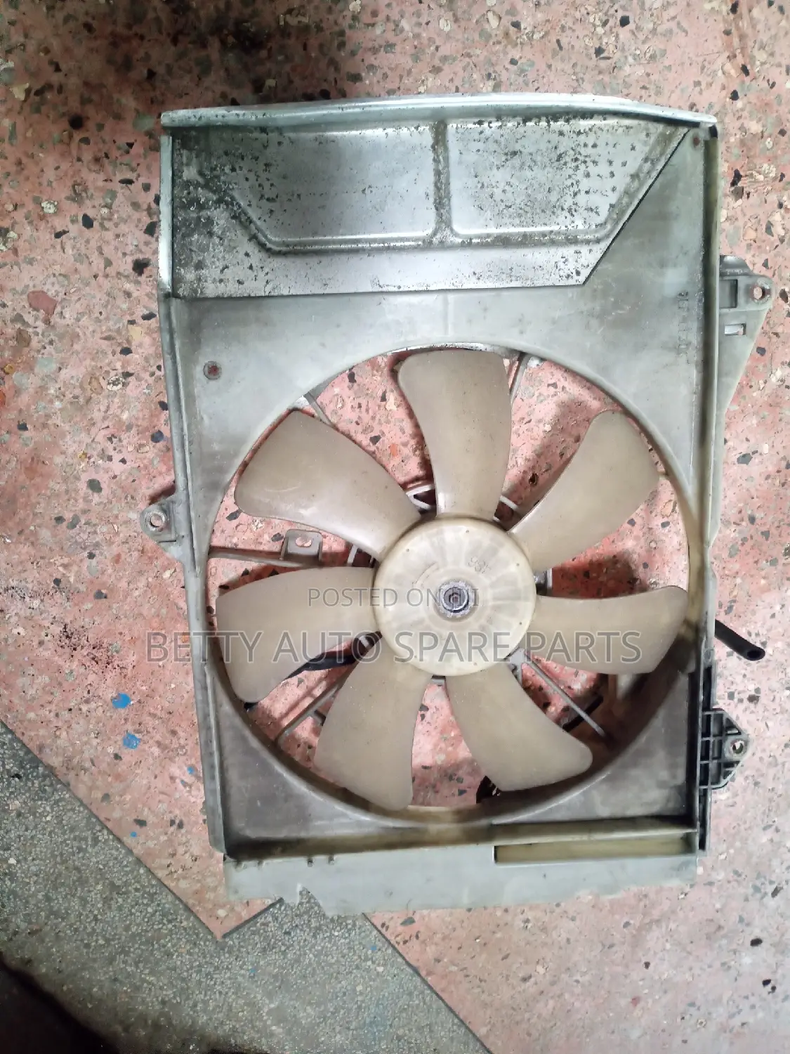 Toyota Platz Radiator Fun