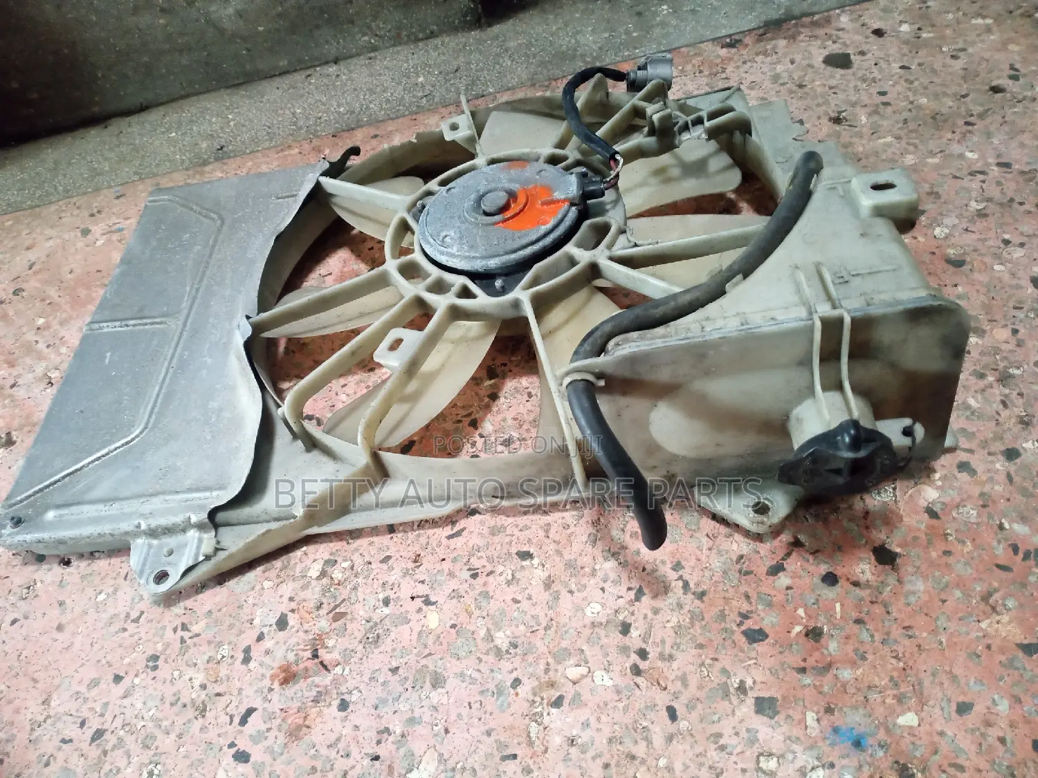 Toyota Platz Radiator Fun