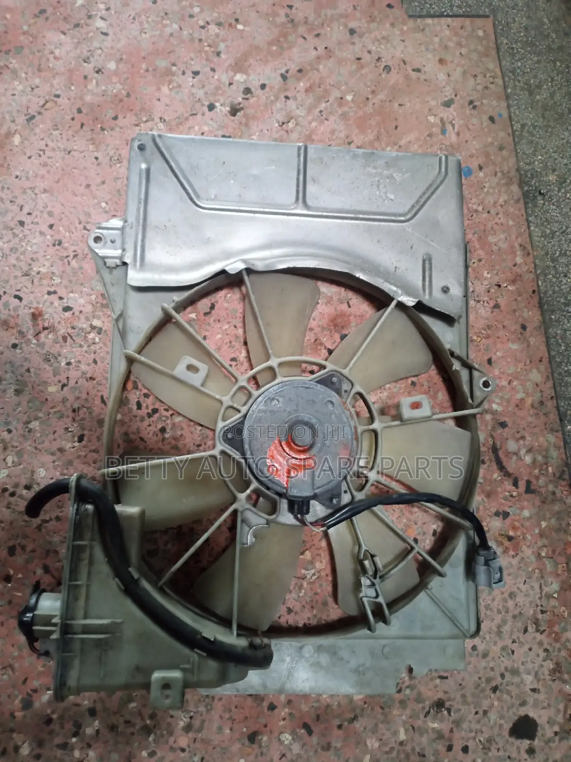 Toyota Platz Radiator Fun