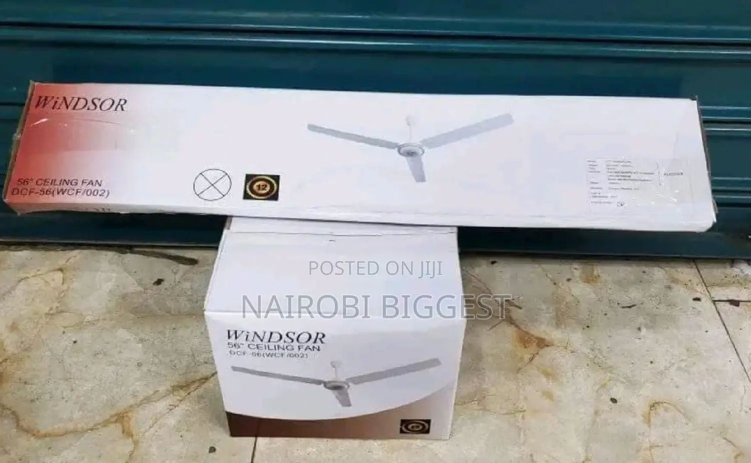Windsor 56" Ceiling Fan