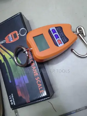 Mini Crane Scale 200kg