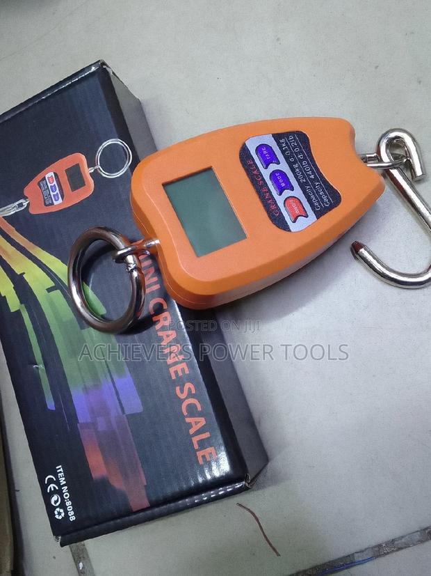 Mini Crane Scale 200kg - main view