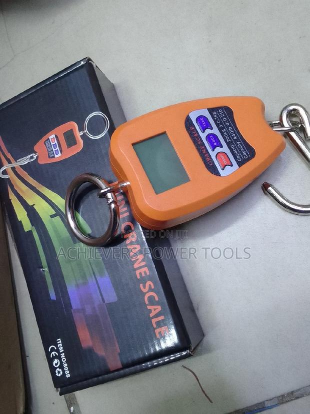 Portable Mini Crane Scale - main view