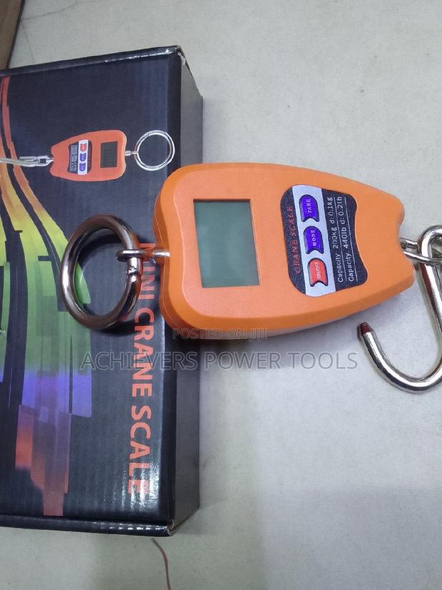 Digital Mini Crane Scale 200kg - main view