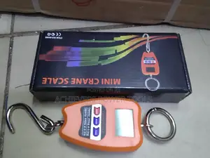 Mini Crane/Hanging Scale 200kg