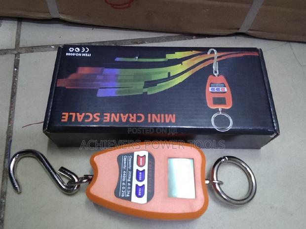 Mini Crane/Hanging Scale 200kg - main view