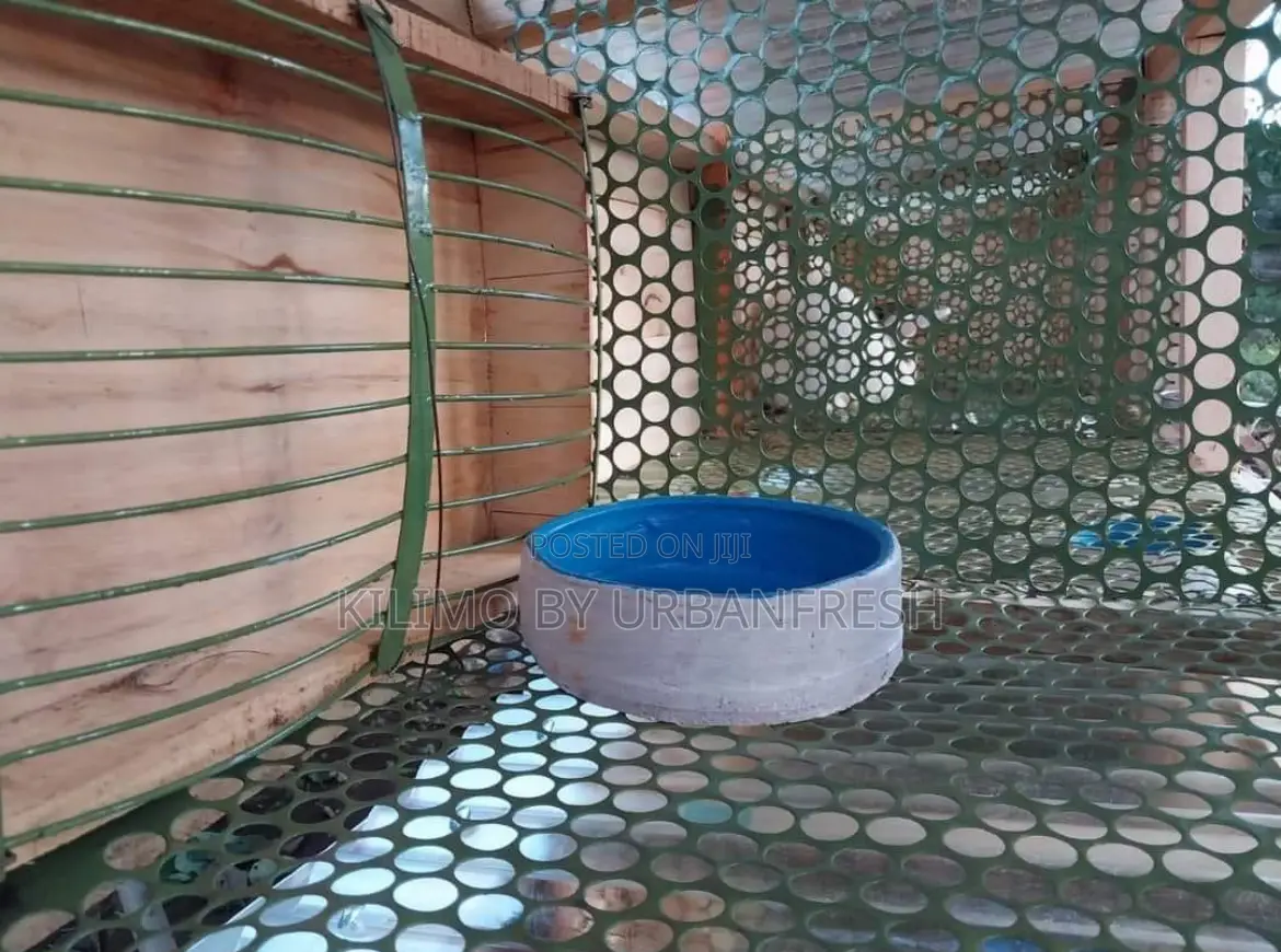 Metal Rabbit Mesh 2.5 X 2 X 1ft. Moq 3