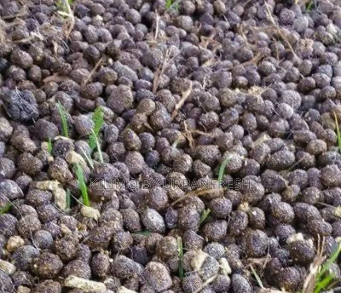 Rabbit Manure
