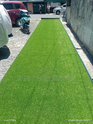 Turf Grass Turf Grass Turf Grass Turf Grass Turf Grass - thumbnail 2