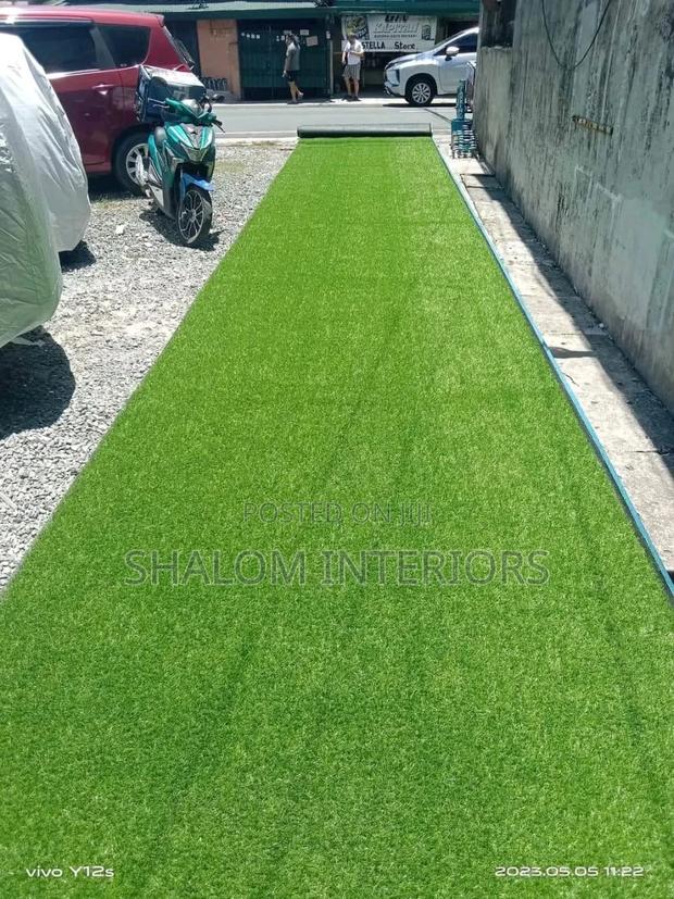 Turf Grass Turf Grass Turf Grass Turf Grass Turf Grass - main view
