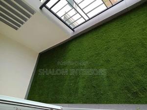 Turf Grass Turf Grass Turf Grass Turf Grass Turf Grass - thumbnail 2