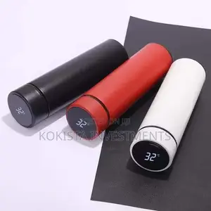 LED Thermo Bottles