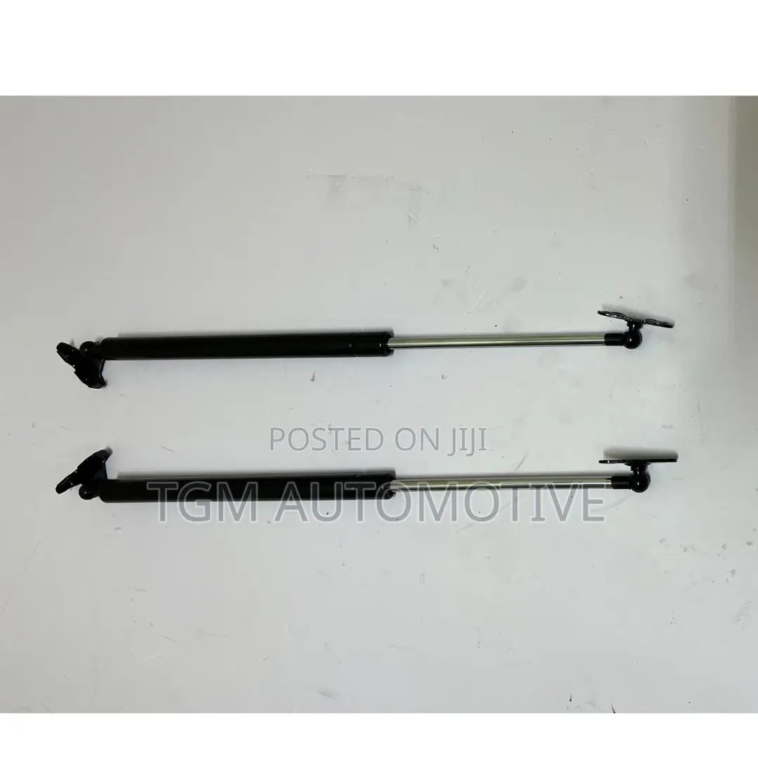 Lexus RX 300 Boot Shock One PCS Custom