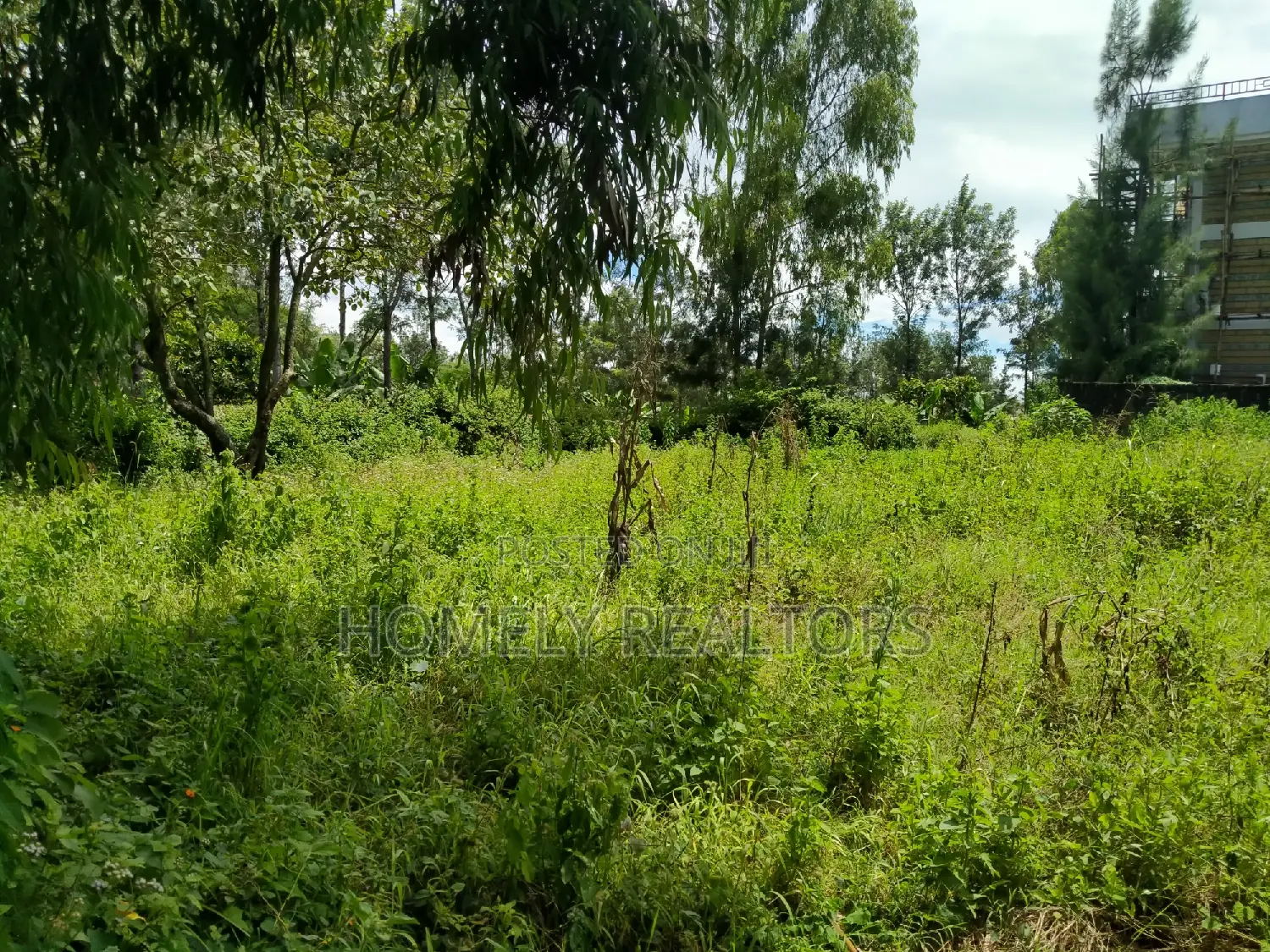Quarter Acre Plot in Ongata Rongai, Kandisi Near the Tarmac