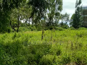 Quarter Acre Plot in Ongata Rongai, Kandisi Near the Tarmac