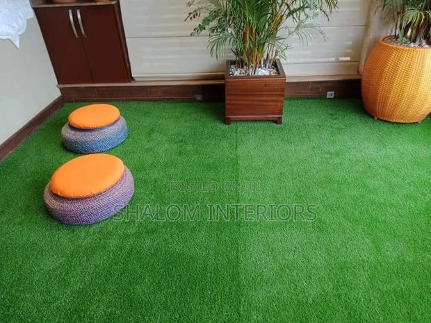 Turf Grass Turf Grass Turf Grass Turf Grass Turf Grass