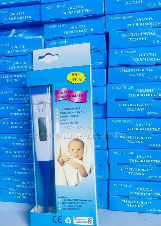 Digital Thermometer - main view