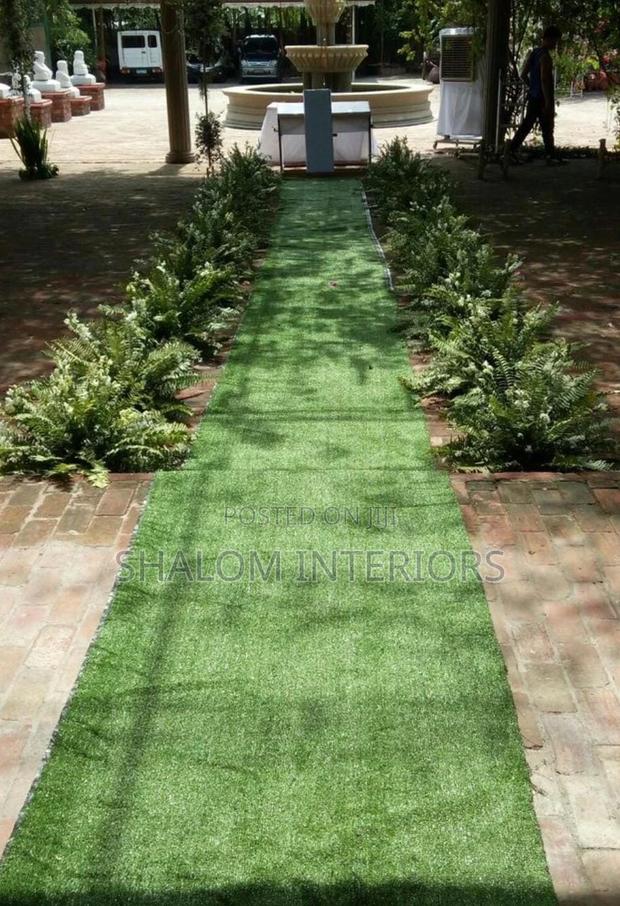 Grass Carpet Grass Carpet Grass Carpet Grass Carpet - main view