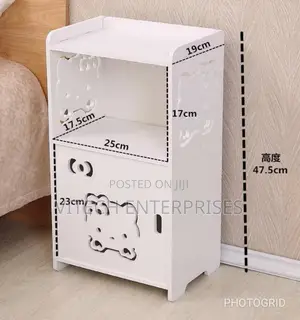 Cabinet Storage