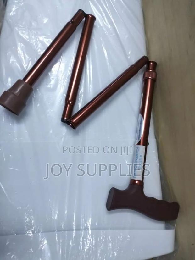 Foldable Walking Stick - main view