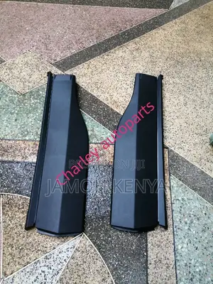 Door Moulding Toyota RAV4 2020
