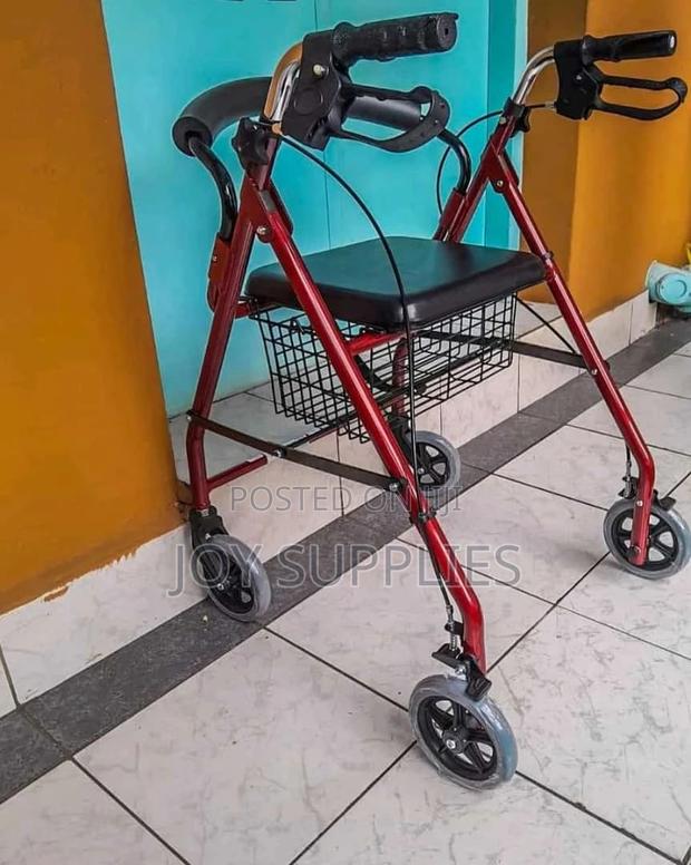 Rollator Walker - main view