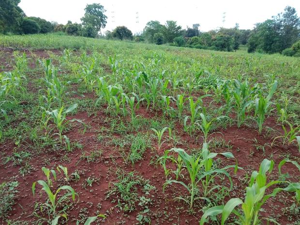 1 Acre Land for Sale in Kang'aru, Kagio, Kirinyaga County.