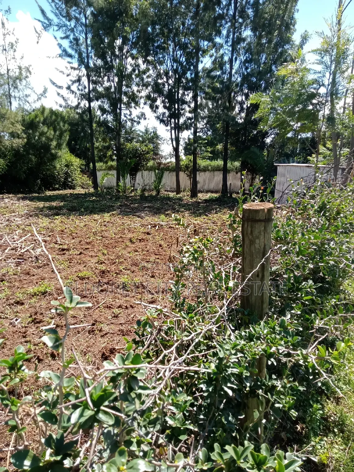 1/4 Plot Kapseret Inder With Title