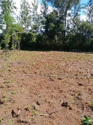 1/8 Plot Kapseret Inder Area Ideal for Residential