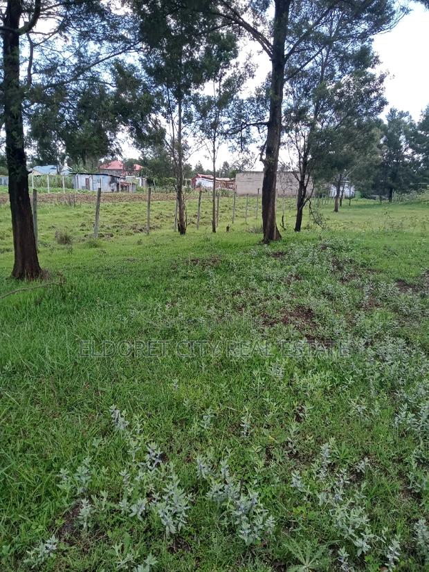 1/4 Plot Annex Rolyton With Title 200metres From Tarmac - thumbnail 2