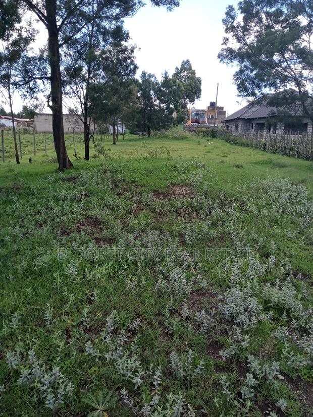1/4 Plot Annex Rolyton With Title 200metres From Tarmac - thumbnail 3