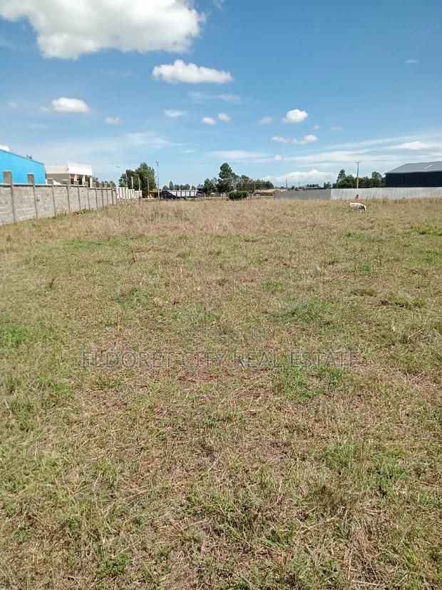 1/4 Plot Annex With Title Less Than 100metres From Tarmac - thumbnail 3