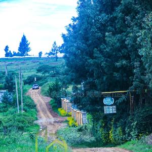 0.25 Acre Land for Sale in Ondiri - Kikuyu - thumbnail 2