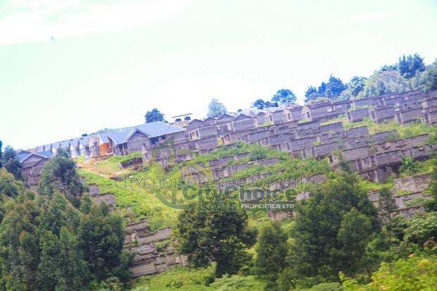 0.25 Acre Land for Sale in Ondiri - Kikuyu - thumbnail 3