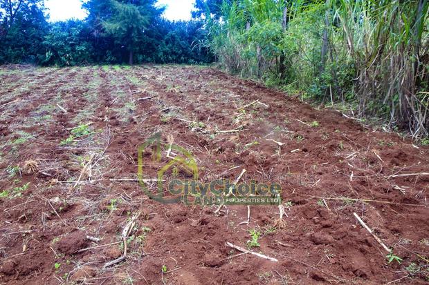 0.25 Acre Land for Sale in Ondiri - Kikuyu - thumbnail 4