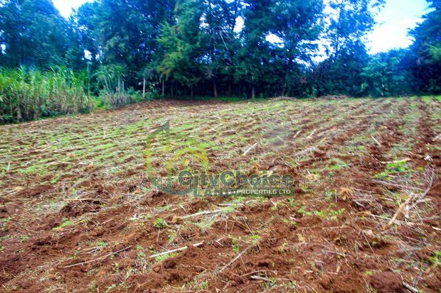 0.25 Acre Land for Sale in Ondiri - Kikuyu - thumbnail 5