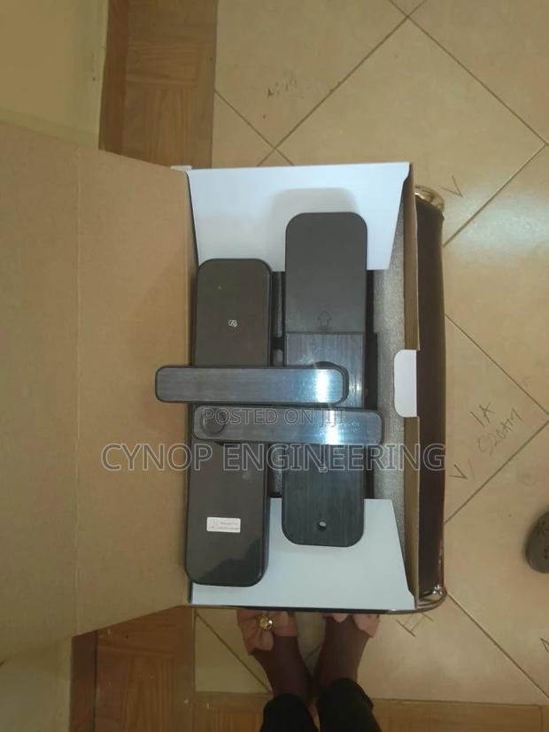 Smart Lock and Biometric Lock. - main view