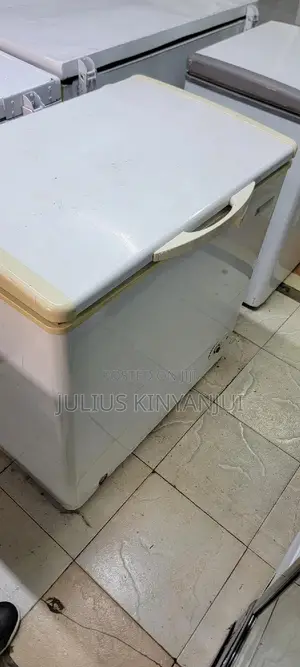 250L Deep Freezer
