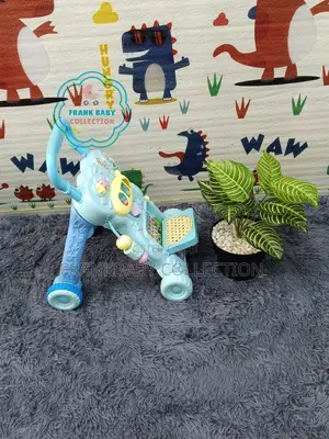 Baby Push Walker