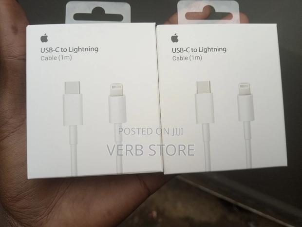 Authentic iPhone Cable Lightening Type C - main view
