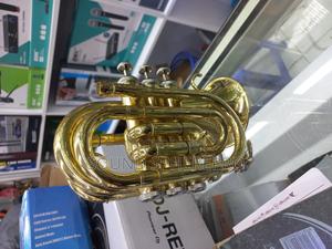 Small Pocket Cornet - thumbnail 2