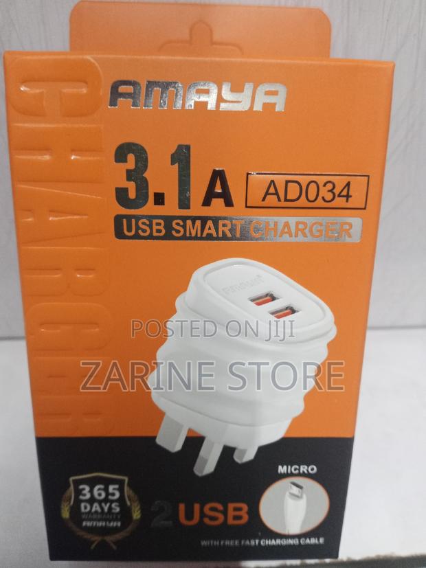 Amaya Micro Charger, Dual USB Port With Free Cable - main view