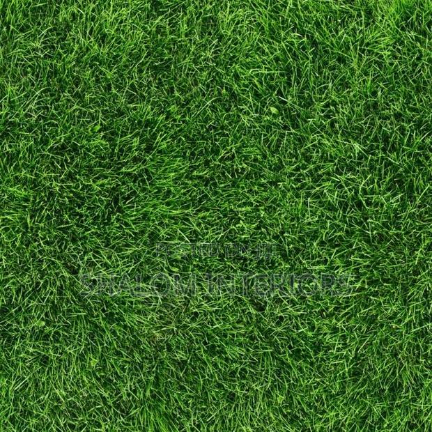 Turf Grass Turf Grass Turf Grass Turf Grass Turf Grass - main view