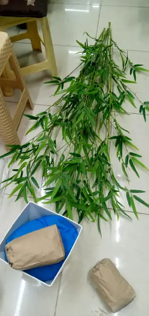 Artificial Bamboo Sticks With Plastic Vase Pebble Stones