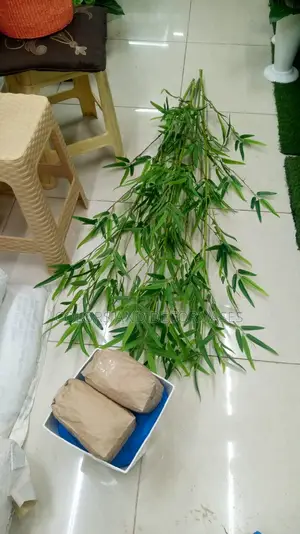 Bamboo Sticks With Plastic Vase Pebble Stones