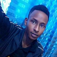 Mosee Guchu logo