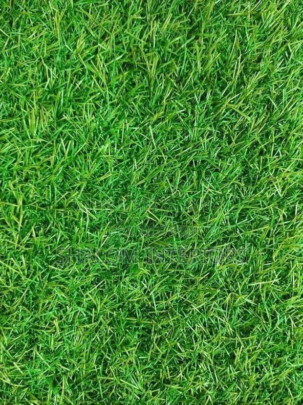 Grass Carpet Grass Carpet Grass Carpet Grass Carpet