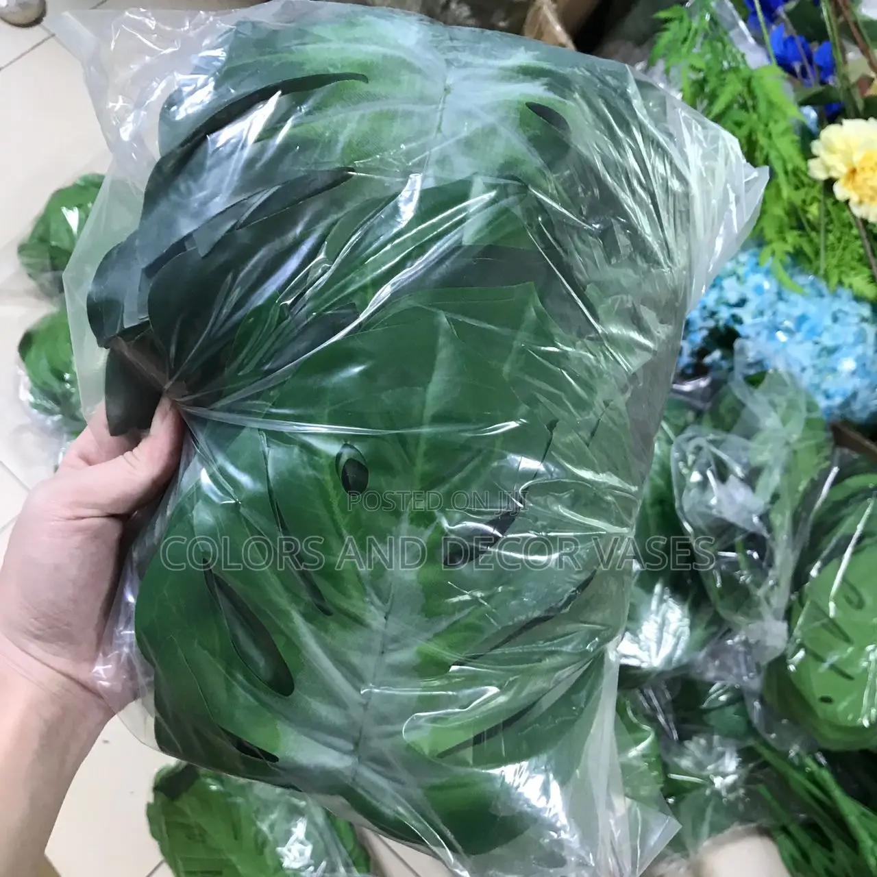 Monstera Leaves Available