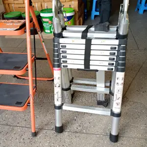 Double Telescope 2.2+2.2(4.4m) Ladder